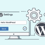 WordPress Settings API