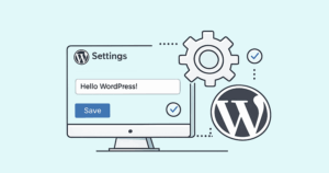 WordPress Settings API