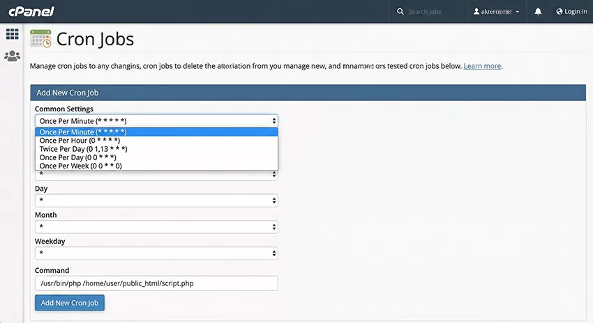 WordPress Cron Job Not Working cPanel Cron