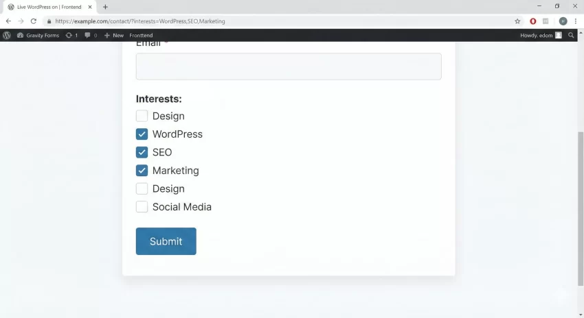 prefill Gravity Forms - Frontend Checkbox Screenshot