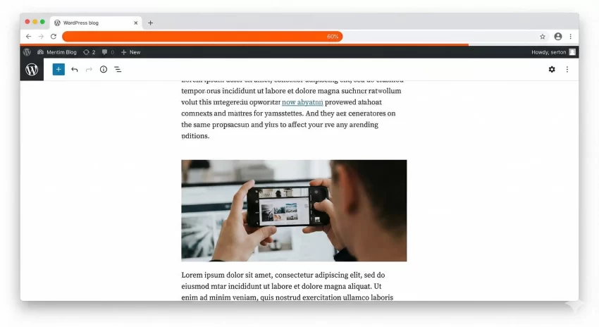 WordPress reading time progress bar : Front-end Example