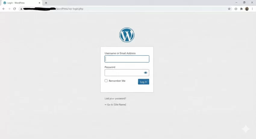 WordPress coming soon mode The Default WordPress Login Screen