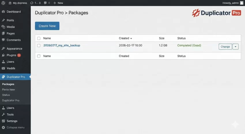 Duplicator Pro Plugin Review Packages List View