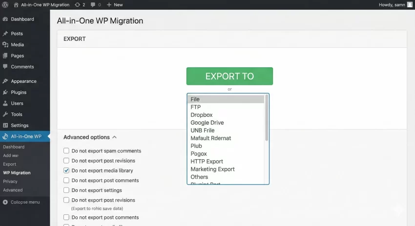 All-in-One WP Migration review - Clean Export UI