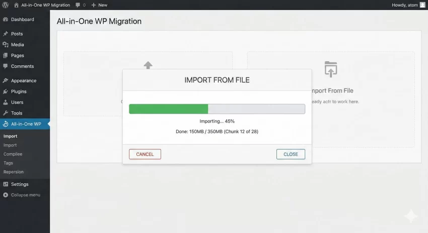 All-in-One WP Migration review Import Process with Chunking