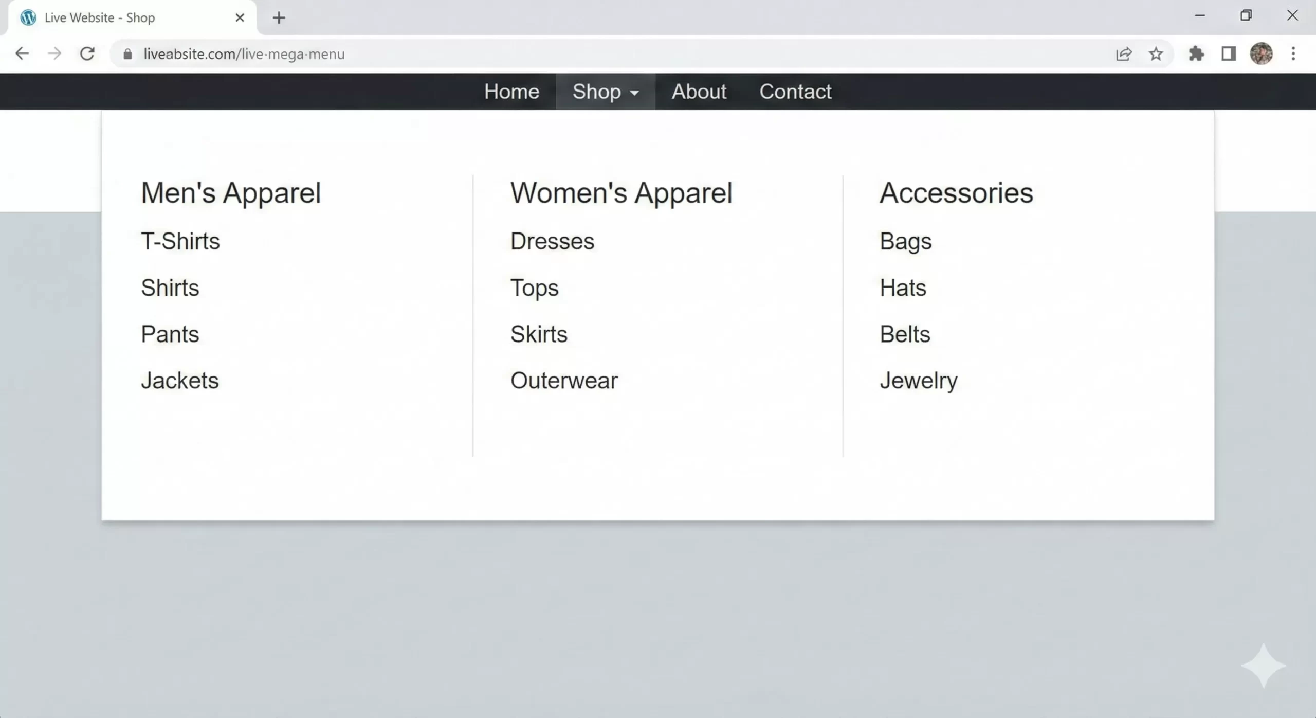 WordPress Mega Menu - Preview of The Mega Menu